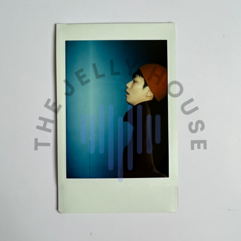 Polaroid